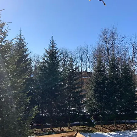 אתר נופש Ow Jaskolka זקופאנה