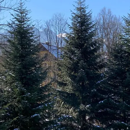 沃加斯科尔卡酒店 度假村 扎科帕内