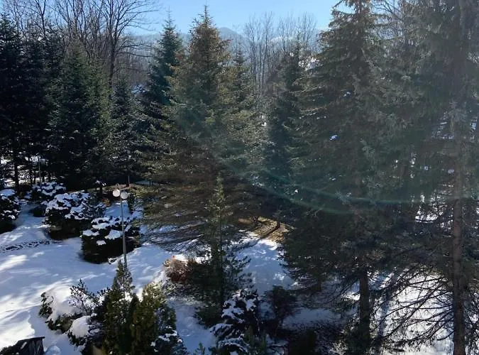 Resort Ow Jaskolka 3*