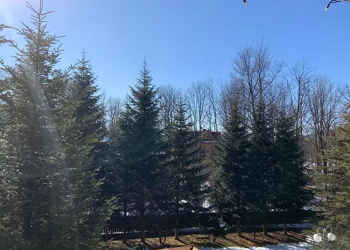 Resort Ow Jaskolka Zakopane